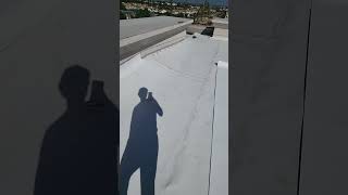 TPO MEMBRANE roofs flatroof tpo roofers [upl. by Adnerak609]