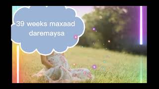 39 weeks uurka marku yahaay maxaad daremaysa iyo ilmaha urjifka ah inte Le egyihiin [upl. by Ahseem]