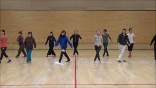 Try Everything Stronger  line dance 2016 [upl. by Westleigh133]