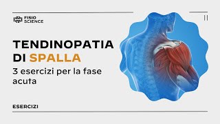 3 esercizi per la tendinopatia acuta di spalla [upl. by Ellenrahc]