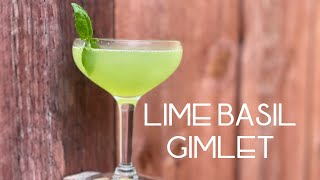 LIME BASIL GIMLET  Another reason we love gin cocktails [upl. by Terry]