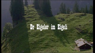 Dr Eigeler im Eigeli  Rees Gwerder  Schwyzerörgeli [upl. by Anirehtak]