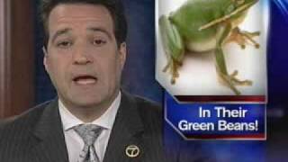 Woman finds frog in frozen veggies [upl. by Thibaud232]