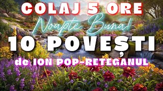 POVESTI DE ION POPRETEGANUL  COLAJ  10 POVESTI  5 ORE  2024 [upl. by Erehs]