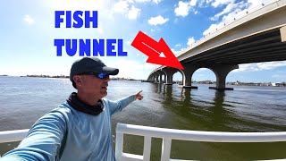 This Bridge is Loaded POMPANO Fishing Tampa Florida [upl. by Zurkow403]