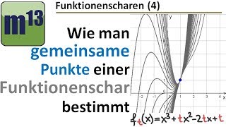 4 gemeinsame Punkte einer Funktionenschar bestimmen [upl. by Bolanger]