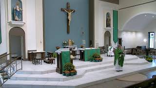 TwentyEighth Sunday in Ordinary Time  October 13 2024  830 am Mass [upl. by Anahpets]