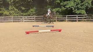 Virtual Equine Events cavaletti challenge 1 exercise 3 [upl. by Talya135]