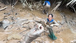 Thụt cá bống sao và mò tôm làm món canh chua bần ăn với bún siêu ngon [upl. by Nnylg]