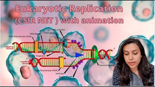 Eukaryotic Replication Explained  CSIR NET Initiation Elongation and termination  PART 4 [upl. by Sej145]