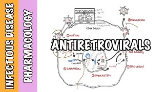 Pharmacology  HIV antiretroviral drugs classes mechanism of action and side effects [upl. by Neehsas275]