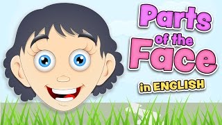 PARTS of the FACE  English for kids [upl. by Laertnom]