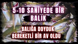 BU YÖNTEMLE 5 10 SANİYEDE BİR BALIK BALIK COŞTU [upl. by Nnylimaj]