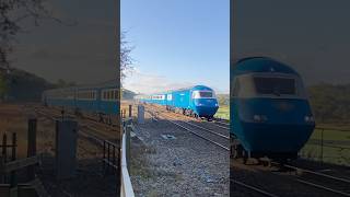 Train at SWingfield 111024 HST PULLMAN on a ST ALBANS to FORT WILLIAM [upl. by Boniface954]