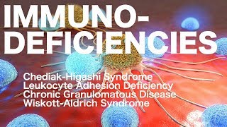 ChediakHigashi vs Chronic Granulomatous vs Leukocyte Adhesion vs WiskottAldrich [upl. by Mighell669]