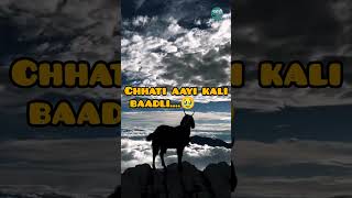 Meriye Jaani Ra Bsera  Nati king Kuldeep Sharma  Pahadi mp3 [upl. by Vaughan]