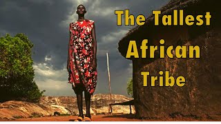 Meet The Tallest People in Africa  The Dinka People [upl. by Neom]