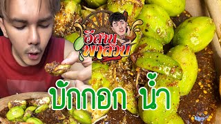 อีสานพาสวบ บักกอกน้ำ [upl. by Dylan]