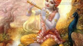 Radhe Krishna Milan WhatsApp Status💖💖 Radheshyam Prem Katha 💞 Radharani Prem Diwani ✨️ [upl. by Hoeg]