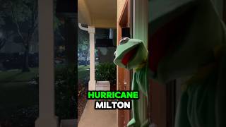 🚨 Kermit’s Urgent Update on Hurricane Milton 🌪️ HurricaneMilton KermitNews kermit shorts [upl. by Hermon76]