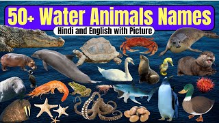 20 Water Animals Name in hindi and english  water animals  water animals name  जलीय जीव [upl. by Ijar225]