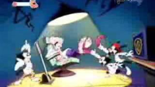 Animaniacs Nickelodeon Intro [upl. by Shirlee]