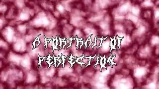 Infant Annihilator  Bathed In Placenta Lyrics on Screen [upl. by Eiduj]