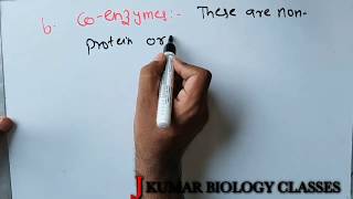 CONJUGATE ENZYME  HOLOENZYME  APOENZYME  COFACTOR INORGANIC GROUP  PROSTHETIC GROUP  CONJUGAT [upl. by Eissolf626]