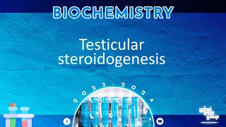 Revision of L 2 Testicular steroidogenesis Biochemistry [upl. by Elumas]