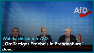 AfD zur Wahlnachlese der Landtagswahlen in Brandenburg [upl. by Noivad]