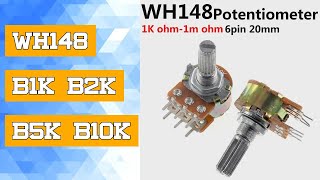 WH148 B1K B2K B5K B10K B20K B50K B100K B500K 6Pin 20mm Amplifier Dual Stereo Potentiometer 1K 2K 5K [upl. by Keily]