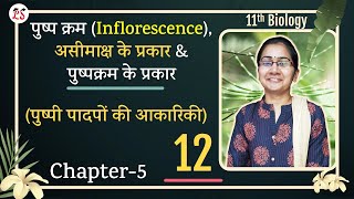 L12 पुष्प क्रम Inflorescence असीमाक्ष के प्रकार amp पुष्पक्रम के प्रकार  अध्याय5 11th Biology [upl. by Ycnalc]