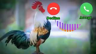 New message ringtone  SMS ringtone  trending love ringtone  best message tonenewringtone [upl. by Sisile]