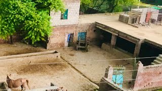 Pakistani village vlog  punjabi village culture aj hum kharian paint 🎨 lene ge [upl. by Suiravad]