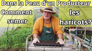 Comment Démarrer Vos Haricots en Intérieur [upl. by Nugent872]