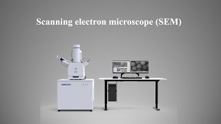 Scanning electron microscope SEM [upl. by Eeluj]