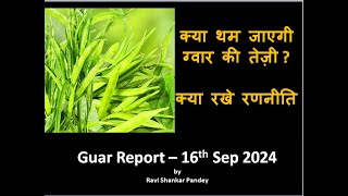 क्या थम जाएगी ग्वार की तेज़ीक्या रखे रणनीतिGuar Report  16h Sep 2024 [upl. by Lemor711]