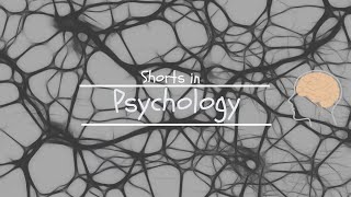 SACE Stage 2 Psychology Exam Preparation UPDATED [upl. by Ahsinroc]