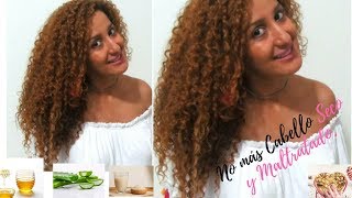 Tratamiento Natural SOS para CABELLO SECO Y MALTRATADO RESCATA TUS RIZOS [upl. by Rozina124]