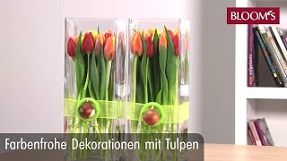 Farbenfrohe Deko mit Tulpen  DIY Frühlingsdeko  spring decoration  BLOOM’s Floristik [upl. by Remos]