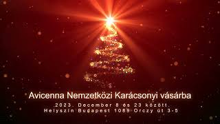 🎄🎁AVICENNA NEMZETKÖZI KARÁCSONYI VÁSÁR [upl. by Rothstein79]