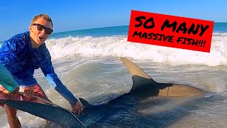 My Best Day SHARK FISHING Yet  Nonstop SHARKS [upl. by Pedaias]