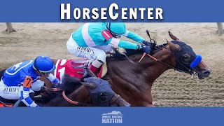 Pegasus World Cup and Pegasus World Cup Turf top picks on HorseCenter [upl. by Inahpit]