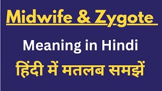 Midwife amp Zygote meaning in Hindi Midwife amp Zygote ka matalab kya hota hai midwifery Zygote [upl. by Emsoc487]