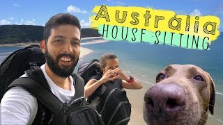 HOUSE SITTING NA AUSTRALIA  Hospedagem gratisCairns  Profundo no Mundo [upl. by Anitsirt742]