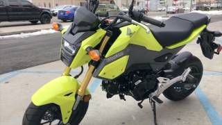 2017 Honda Grom Yellow  First Look [upl. by Netniuq]