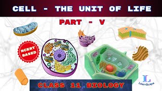 Cell  The Unit Of Life  PART  V class 11 Biology  NCERT  COHSEM  CBSE [upl. by Libnah]