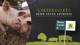 Varkensvlees met het Beter Leven Keurmerk [upl. by Ninazan465]