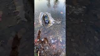 UDI Inkfish JetBoat Maiden Voyage Brushless Low Power [upl. by Yewed]