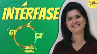 INTÉRFASE  Resumo de Biologia para o Enem [upl. by Homere131]